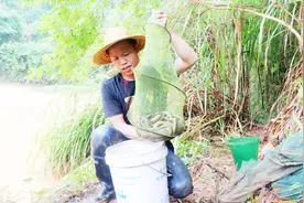 小伙每次收地笼野货满满，靠的就是在这几个技巧，包你野货吃不完视频封面