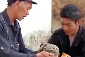 男子过河捡到奇石，石头表面竟长着金颗粒，村里老人：你交好运了视频封面