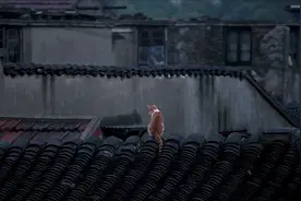 《到阜阳六百里》人物剪辑版视频封面