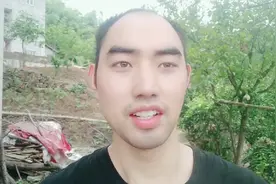 黄金家里桔子树多，今年却没有多少桔子，到底什么原因。视频封面