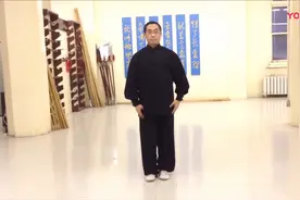 2014年海外杨海大师展示形意五行拳视频封面