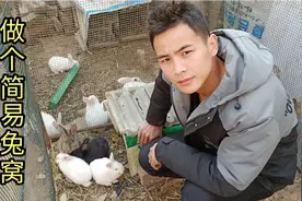 农村小伙养兔子，教你做个简易兔窝，别再用砖垒了