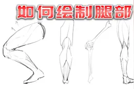 肝货CG教你怎么画腿部！板绘绘画教程01