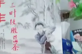 桃花减肥茶π三叶绞股蓝茶视频封面