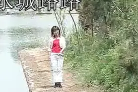 民间小调《冯小燕唢呐》全集标清视频封面