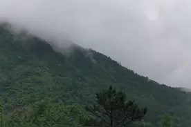 广西农村每户可以免息三年借5万视频封面