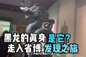 黑龙江的黑龙原来是它？在省博物馆你总有不一样的发现 东北我家视频封面