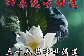 四朵远古神莲～净世清莲视频封面