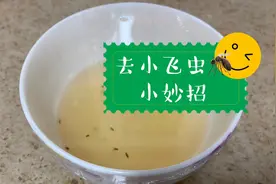 夏天消灭厨房小飞虫🦟简单小妙招，喜欢的就试一下吧