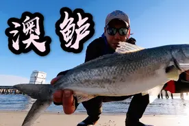 澳鲈?澳洲三文鱼?澳洲鲑鱼?其实跟三文鱼没毛关系,俺们这叫卡瓦!视频封面