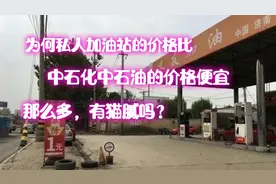 为何私人加油站的价格比中石化和中石油的便宜那么多，有猫腻吗？视频封面