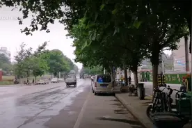 中央允许摆地摊，小区附进真有摆地摊的，他们说出摊时间有讲究