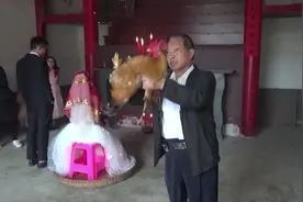 新娘一进家，就坐在祠堂的簸箕里，大哥拿着大公鸡要干嘛视频封面