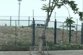 带大家看一下上海的角落 长江入海口视频封面