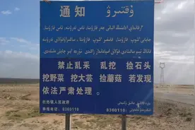 强子和石友来到了杜热，这里不让捡石头，我们去别的地方捡视频封面