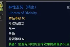 魔兽世界怀旧服：圣骑士P5阶段值得入手的十大装备排名推荐视频封面