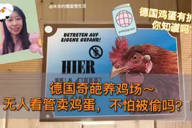 德国奇葩养鸡场，无人看管卖鸡蛋，竟然没有人偷！视频封面