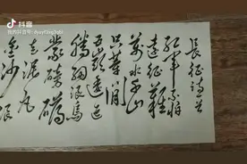 红军不怕远征难，万水千山只等闲(毛体草草书)