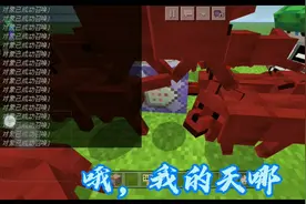 我的世界:杜子来测指令啦，居然出现了红色的狗狗，真可爱😊