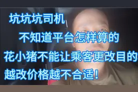 太坑司机啦，为什么花小猪不能让乘客改目的地，越改亏得越多！视频封面