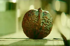 美女把桌上的核桃砸了吃了，不料那是小伙已经盘了三年的文玩视频封面