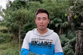 参赛作品：土家汉哥这样总结养蜂感悟，句句在理！