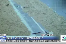蹊跷！近千斤小麦为何消失？消除称重记录 想耍“小聪明”视频封面