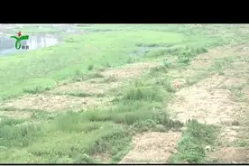 新县水利局强力整治县城区河道范围内菜园菜地视频封面
