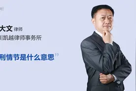 量刑情节是什么意思视频封面
