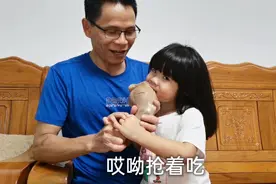 白砍狗整条狗腿这样吃才叫过瘾，坐标：湛江雷州乡镇视频封面