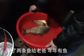 过年回娘家，妈妈不在爸爸一个人在家，回来自己煮饭吃