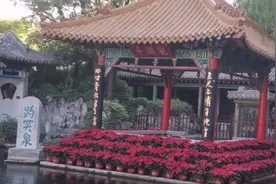 济南72名泉之首  乾隆皇帝册封的天下第一泉  趵突泉风光视频封面