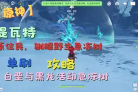 原神，提瓦特原住民驯服野生急冻树单刷白垩与黑龙急冻树小攻略视频封面