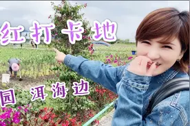 抵达云南大理网红打卡地 坐吉普车到洱海边拍照留念 旅行的意义视频封面
