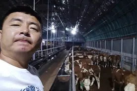 现在是晚上10点多，明天安徽阜阳的200多头牛拉走，就能轻松多了