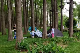 全国最大的城中湖武汉东湖，门票免费很多人露营野炊