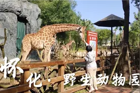 怀化市中方县野生动物园，感受人与动物亲密接触视频封面