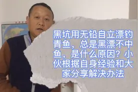 用无铅自立漂钓青鱼，黑漂不中鱼什么原因？小伙分享自己解决方法视频封面