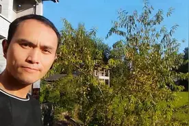 四川达州：农村里有一种桃子，你应该没有吃过视频封面