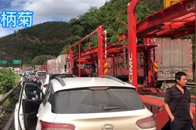 身边的草药（146），肿柄菊（假向日葵），病毒的克星