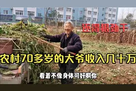 农村70多岁大爷不靠儿女，在家养羊收入几十万，大爷：还得狠劲干视频封面