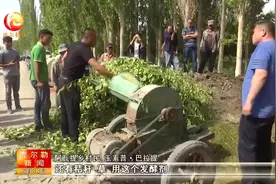 库尔勒六十万亩香梨园让戈壁变绿洲视频封面