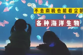 企鹅不在南极，鲨鱼不在海里，原来它们都在这里