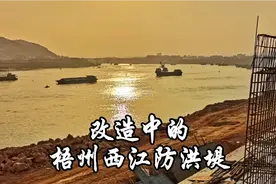 改造中的梧州西江防洪堤