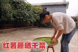 农村活了几十年，第一次听说红薯藤也能做成干菜，一起来看看