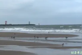 欧洲自驾游，到誉为欧洲最美的荷兰海牙海滩，旁边是海牙国际法庭视频封面