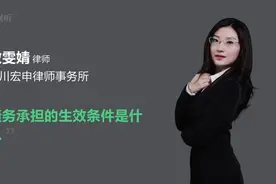 债务承担的生效条件是什么视频封面