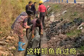 村民清理臭水沟里的垃圾，没想到发现许多大鱼，真是惊喜啊视频封面