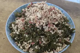 过年吃个野菜“凉拌柳芽”，清凉败火健康美味，全家人都喜欢视频封面