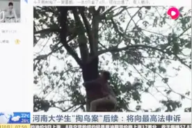 掏鸟16只获刑10年半，河南大学生“掏鸟案”后续：将向最高法申诉视频封面